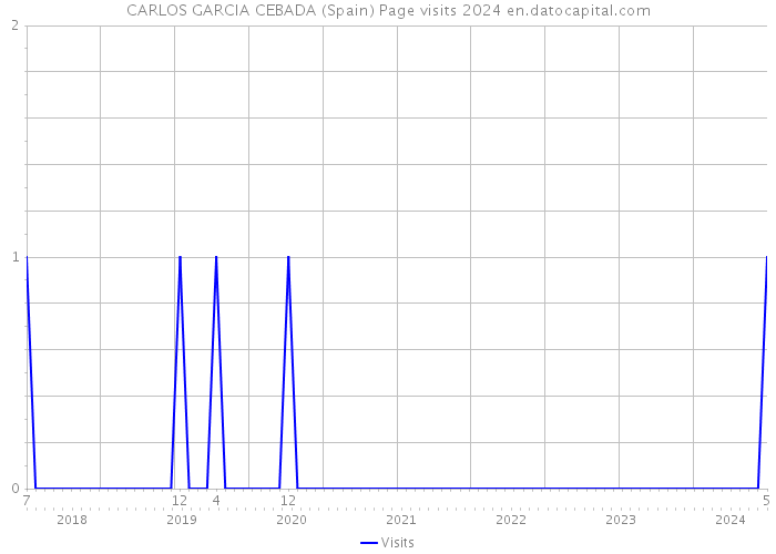 CARLOS GARCIA CEBADA (Spain) Page visits 2024 
