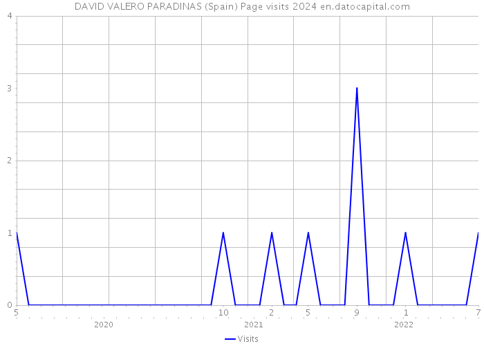 DAVID VALERO PARADINAS (Spain) Page visits 2024 