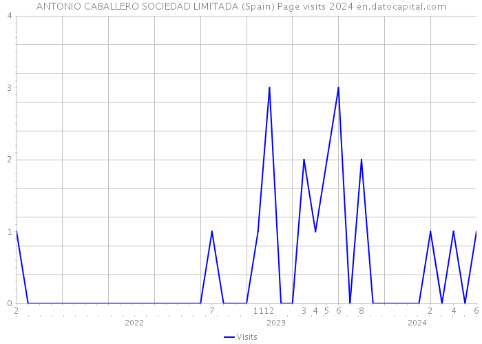 ANTONIO CABALLERO SOCIEDAD LIMITADA (Spain) Page visits 2024 