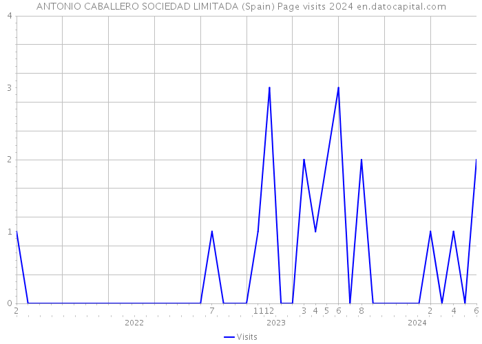 ANTONIO CABALLERO SOCIEDAD LIMITADA (Spain) Page visits 2024 