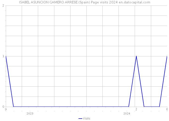 ISABEL ASUNCION GAMERO ARRESE (Spain) Page visits 2024 