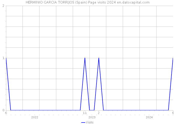 HERMINIO GARCIA TORRIJOS (Spain) Page visits 2024 