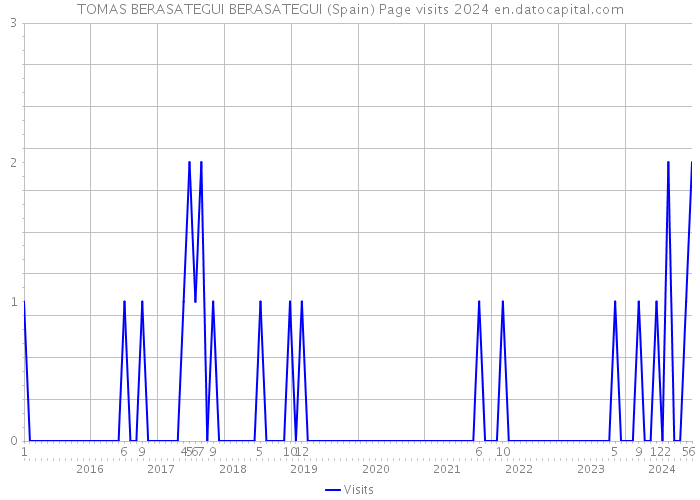 TOMAS BERASATEGUI BERASATEGUI (Spain) Page visits 2024 