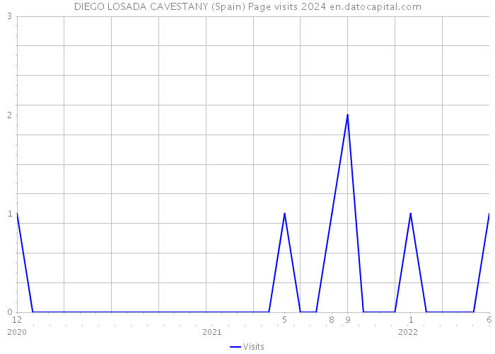 DIEGO LOSADA CAVESTANY (Spain) Page visits 2024 