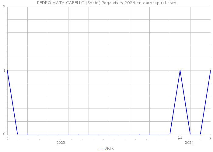 PEDRO MATA CABELLO (Spain) Page visits 2024 
