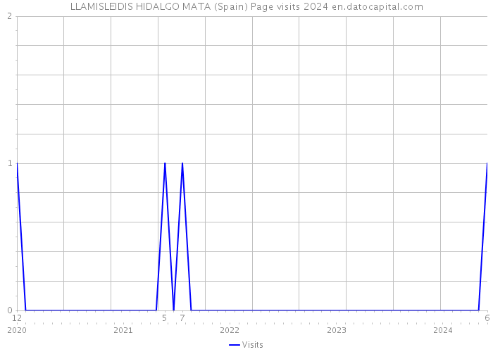 LLAMISLEIDIS HIDALGO MATA (Spain) Page visits 2024 