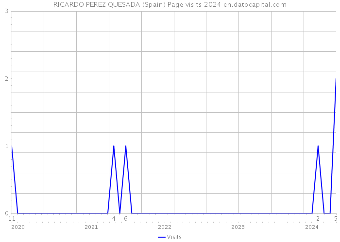 RICARDO PEREZ QUESADA (Spain) Page visits 2024 