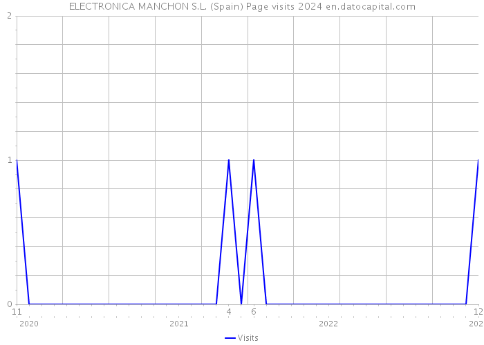 ELECTRONICA MANCHON S.L. (Spain) Page visits 2024 