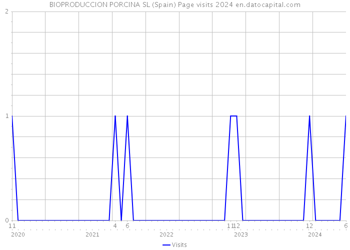BIOPRODUCCION PORCINA SL (Spain) Page visits 2024 