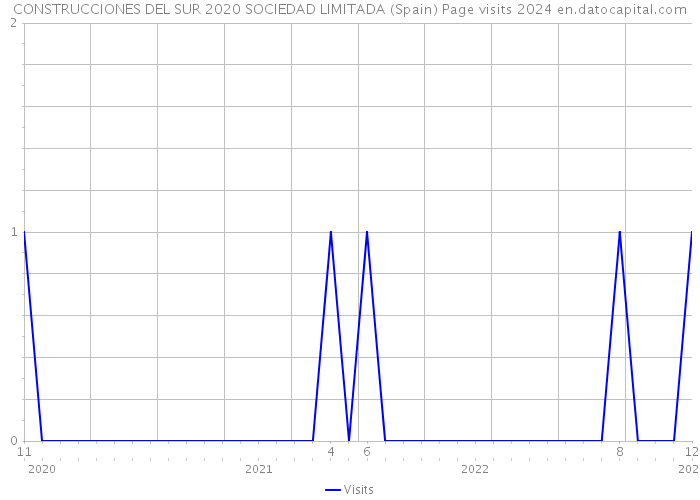 CONSTRUCCIONES DEL SUR 2020 SOCIEDAD LIMITADA (Spain) Page visits 2024 