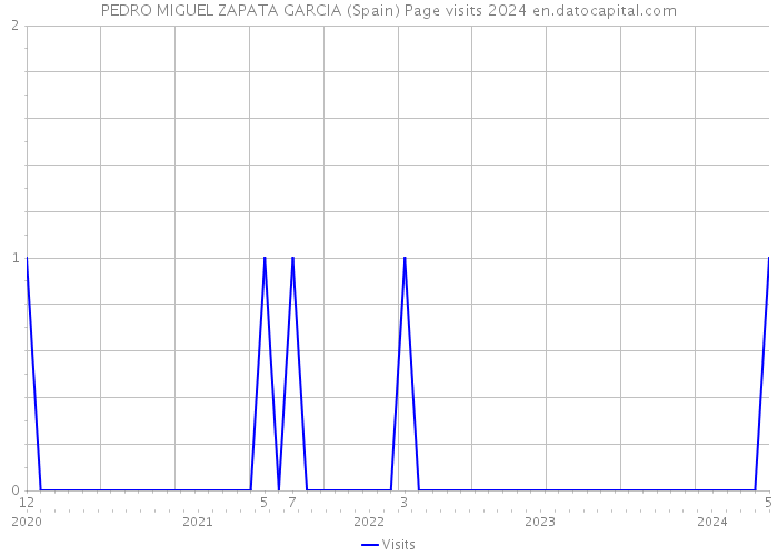 PEDRO MIGUEL ZAPATA GARCIA (Spain) Page visits 2024 