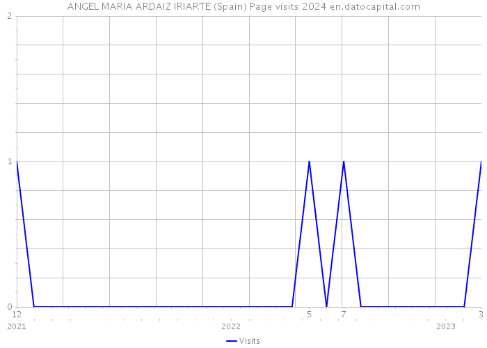 ANGEL MARIA ARDAIZ IRIARTE (Spain) Page visits 2024 