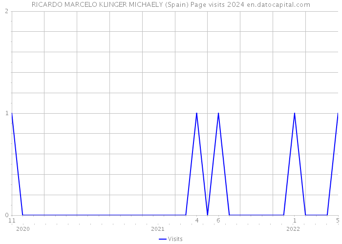 RICARDO MARCELO KLINGER MICHAELY (Spain) Page visits 2024 