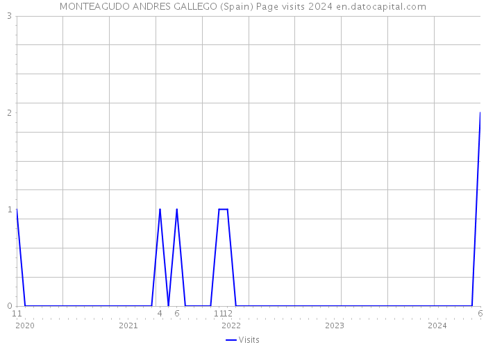 MONTEAGUDO ANDRES GALLEGO (Spain) Page visits 2024 