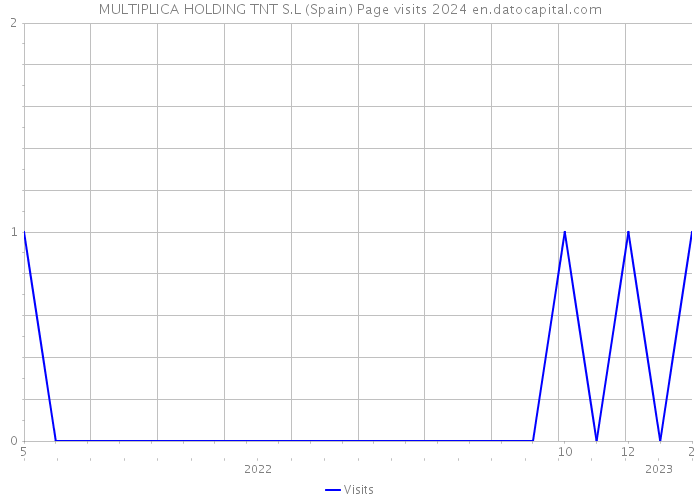 MULTIPLICA HOLDING TNT S.L (Spain) Page visits 2024 