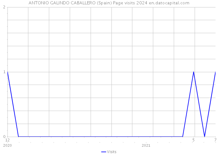 ANTONIO GALINDO CABALLERO (Spain) Page visits 2024 