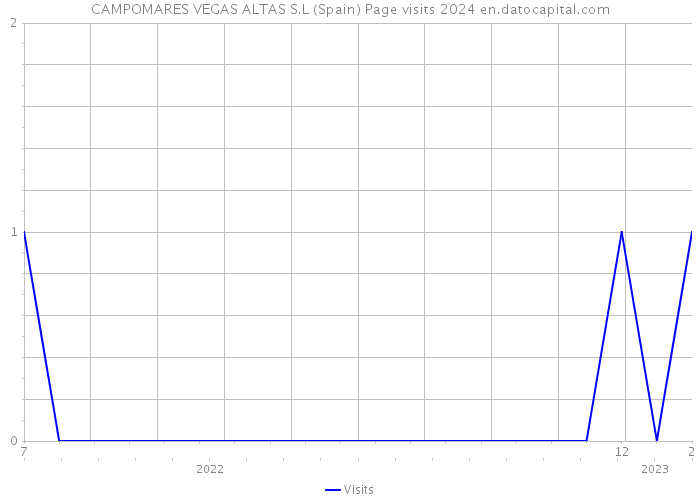 CAMPOMARES VEGAS ALTAS S.L (Spain) Page visits 2024 
