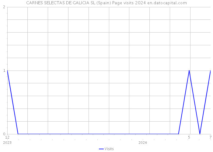 CARNES SELECTAS DE GALICIA SL (Spain) Page visits 2024 