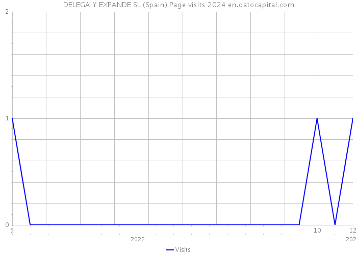 DELEGA Y EXPANDE SL (Spain) Page visits 2024 