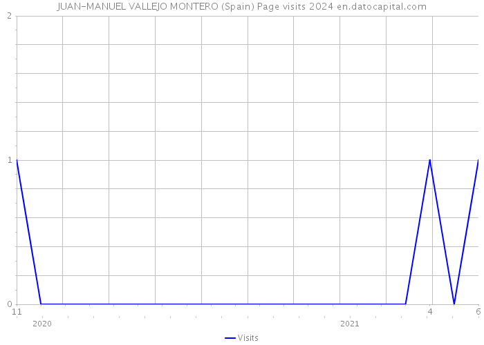 JUAN-MANUEL VALLEJO MONTERO (Spain) Page visits 2024 