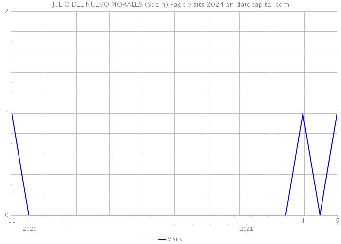 JULIO DEL NUEVO MORALES (Spain) Page visits 2024 