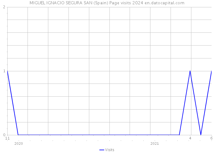 MIGUEL IGNACIO SEGURA SAN (Spain) Page visits 2024 
