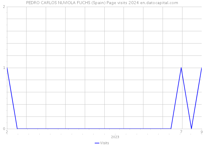 PEDRO CARLOS NUVIOLA FUCHS (Spain) Page visits 2024 