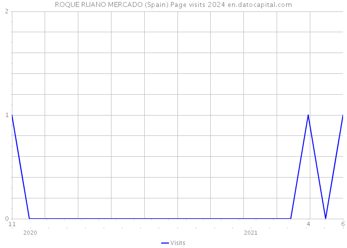 ROQUE RUANO MERCADO (Spain) Page visits 2024 