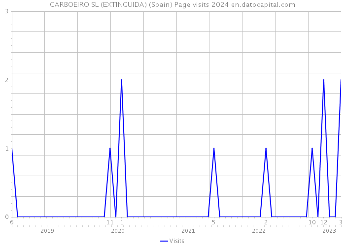CARBOEIRO SL (EXTINGUIDA) (Spain) Page visits 2024 