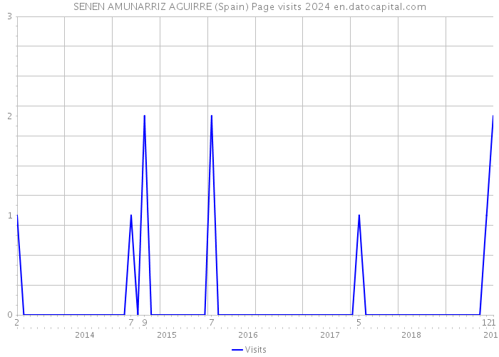 SENEN AMUNARRIZ AGUIRRE (Spain) Page visits 2024 