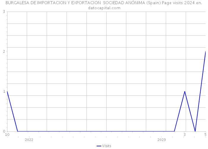 BURGALESA DE IMPORTACION Y EXPORTACION SOCIEDAD ANÓNIMA (Spain) Page visits 2024 