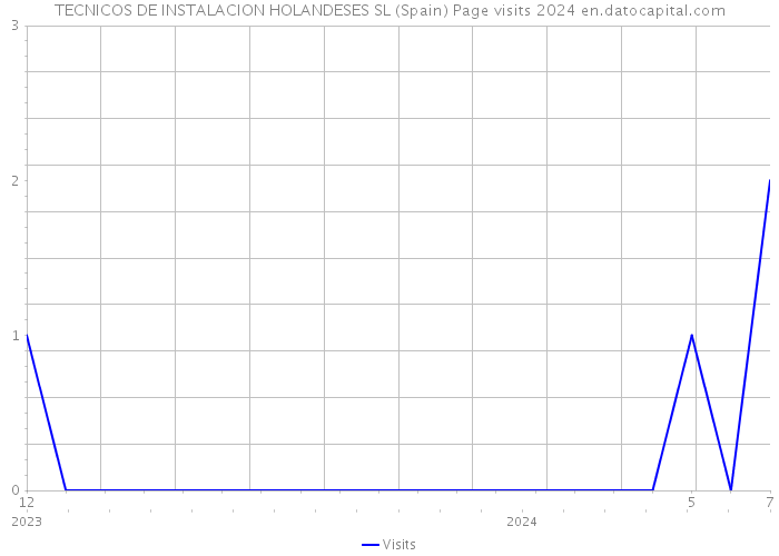 TECNICOS DE INSTALACION HOLANDESES SL (Spain) Page visits 2024 