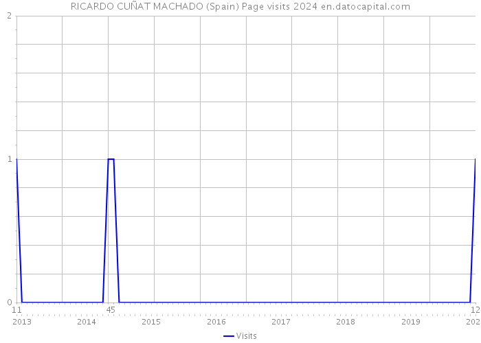 RICARDO CUÑAT MACHADO (Spain) Page visits 2024 