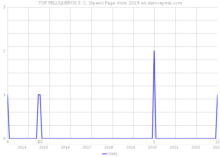 TOP PELUQUEROS S. C. (Spain) Page visits 2024 