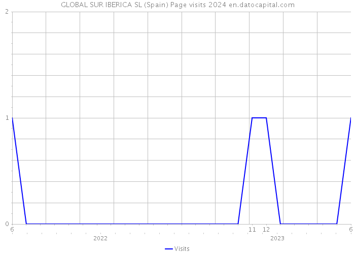 GLOBAL SUR IBERICA SL (Spain) Page visits 2024 