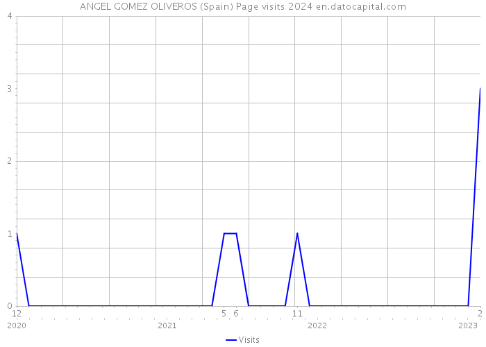 ANGEL GOMEZ OLIVEROS (Spain) Page visits 2024 