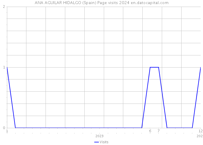 ANA AGUILAR HIDALGO (Spain) Page visits 2024 