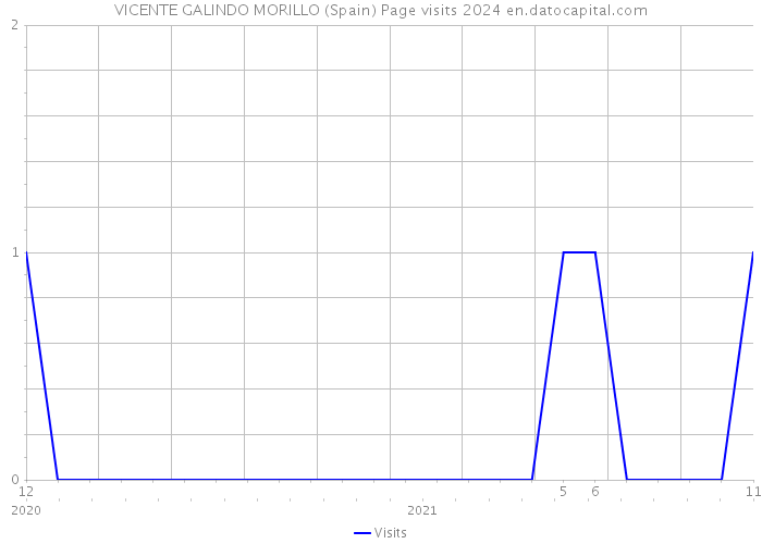 VICENTE GALINDO MORILLO (Spain) Page visits 2024 