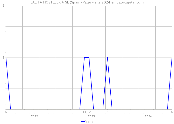 LALITA HOSTELERIA SL (Spain) Page visits 2024 