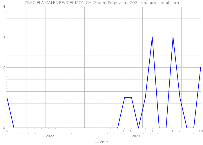 GRACIELA GALER BEUGEL MONICA (Spain) Page visits 2024 