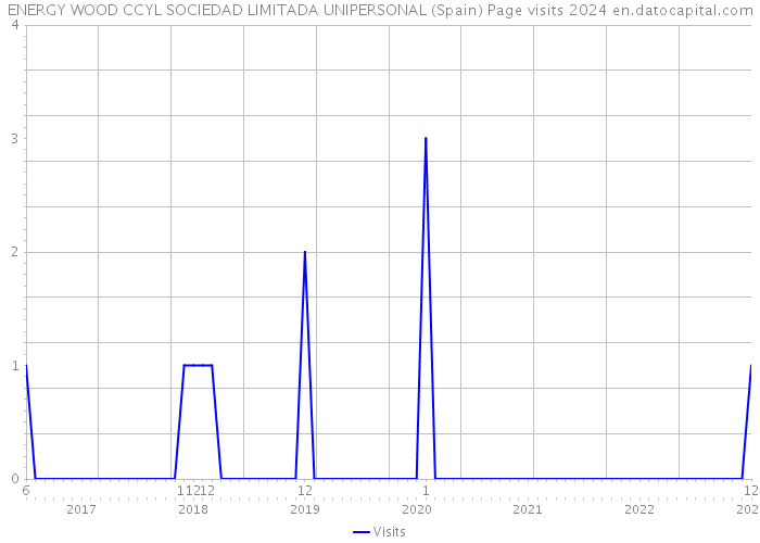 ENERGY WOOD CCYL SOCIEDAD LIMITADA UNIPERSONAL (Spain) Page visits 2024 