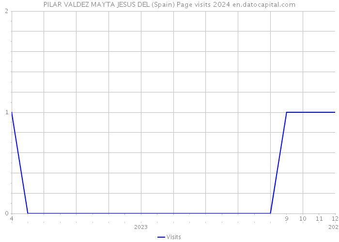 PILAR VALDEZ MAYTA JESUS DEL (Spain) Page visits 2024 