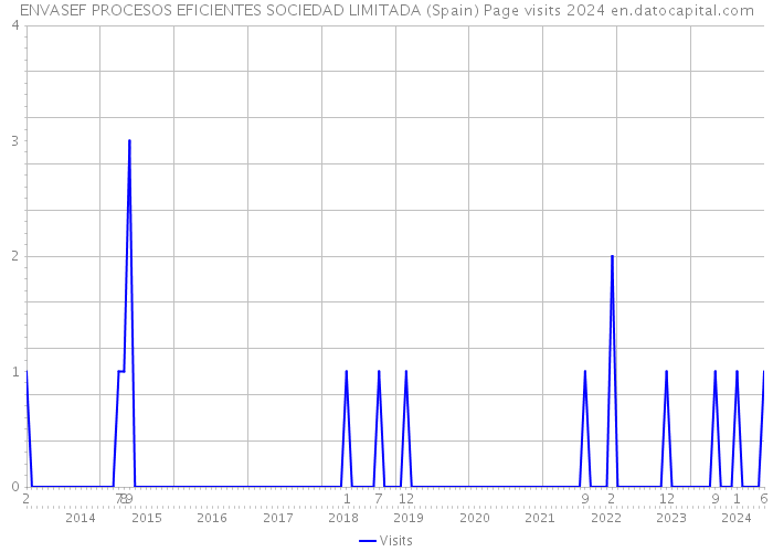 ENVASEF PROCESOS EFICIENTES SOCIEDAD LIMITADA (Spain) Page visits 2024 