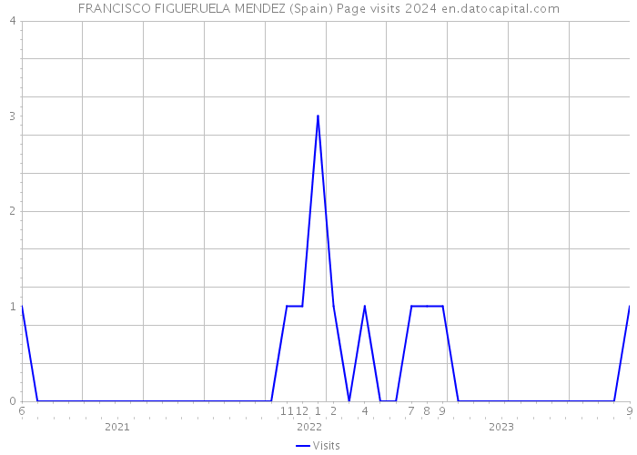 FRANCISCO FIGUERUELA MENDEZ (Spain) Page visits 2024 