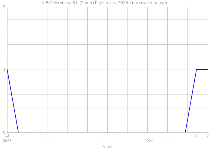 A.E.G Servicios S.L (Spain) Page visits 2024 