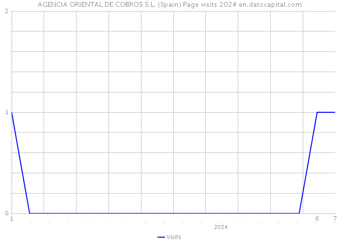 AGENCIA ORIENTAL DE COBROS S.L. (Spain) Page visits 2024 