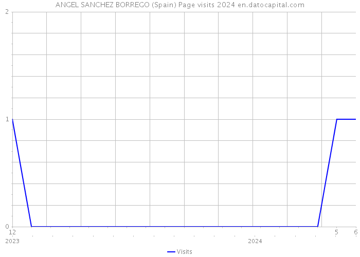 ANGEL SANCHEZ BORREGO (Spain) Page visits 2024 