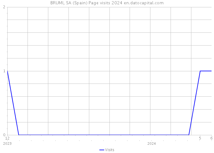 BRUMI, SA (Spain) Page visits 2024 