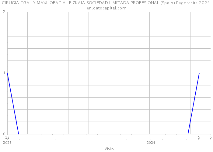 CIRUGIA ORAL Y MAXILOFACIAL BIZKAIA SOCIEDAD LIMITADA PROFESIONAL (Spain) Page visits 2024 