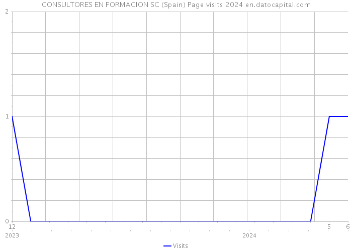 CONSULTORES EN FORMACION SC (Spain) Page visits 2024 